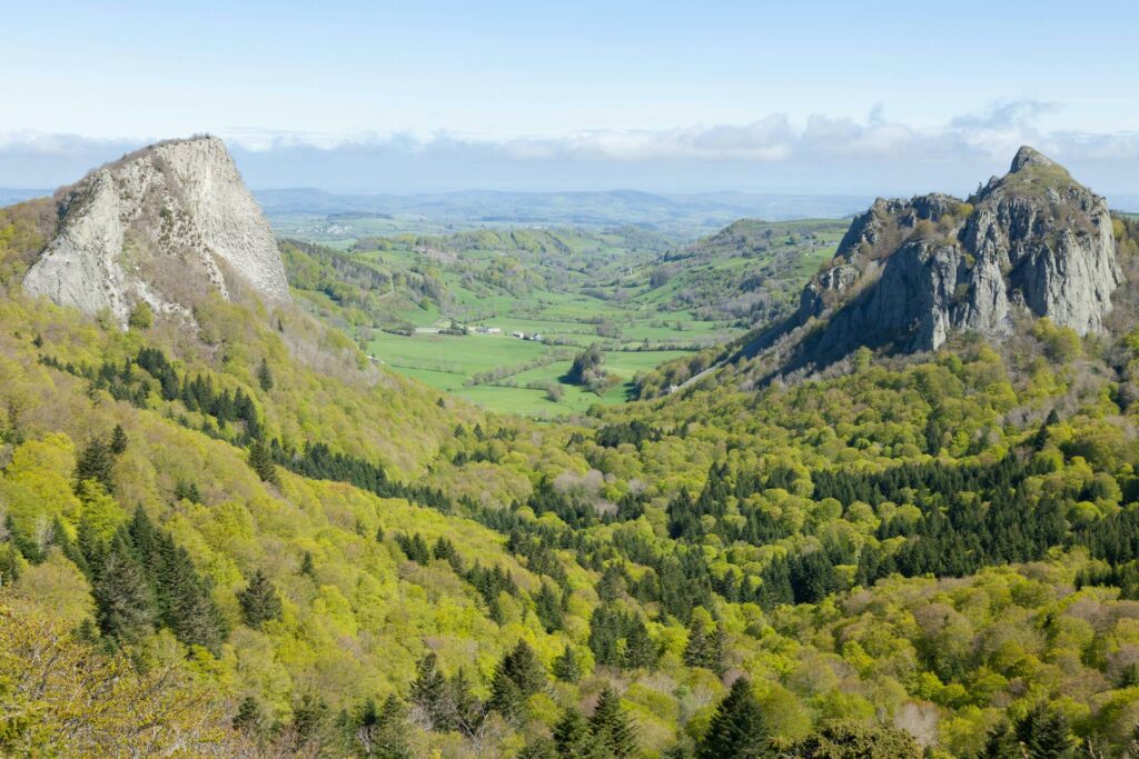 pexels-philippe-serrand-337910945-18978741