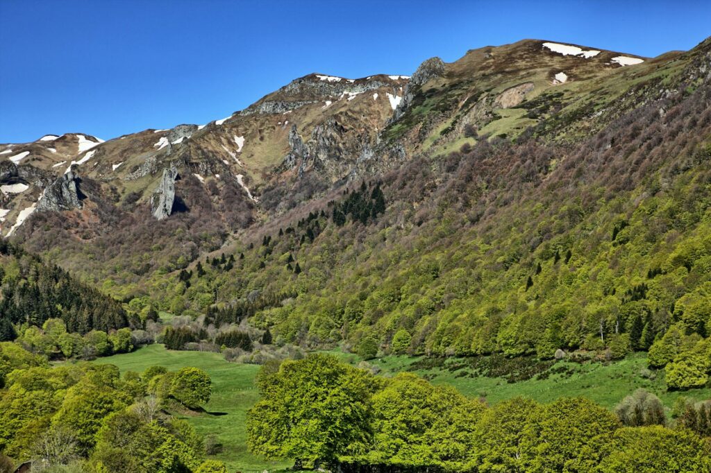 pexels-philippe-serrand-337910945-19047796