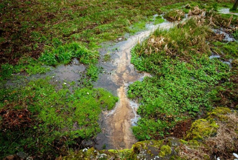 nouvelle pollution au bassin aux Quatre-Routes